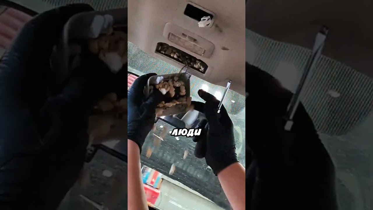 Весь автомобиль изнутри в арахисе 😲