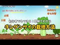 チンゲンサイの育て方｜図解でわかる栽培方法