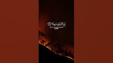سورة الفرقان اية ٢٧ #allah #islam #allahuakbar #quran #muslim