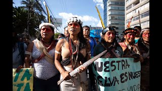 2020 Goldman Environmental Prize Winner for South & Central America, Nemonte Nenquimo