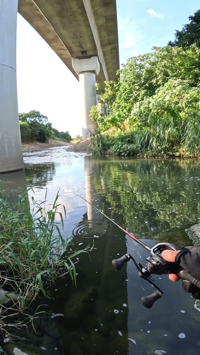 gimana ini konsepnya??? #carps #fishing #chastinggabus #carpfishing