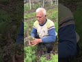 Sevgilime Bir Deste #çiçek #bahçe #farming #garden #farmer #youtubeshorts #ankara