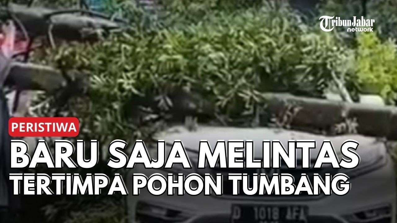 Baru Melintas, Mobil Ini Tertimpa Pohon Tumbang di Dago Bandung