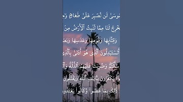 لا تهرب من القرآن الكريم #history #اسلام_صبحي #الشريم #قرآن