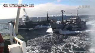 調査捕鯨船に妨害行為　シー・シェパード