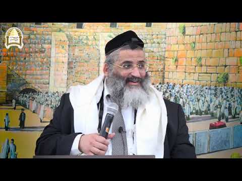 חזרה על עיקרי הלכות חג הסוכות - הרה"ג הרב ישראל אברג'ל שליט"א