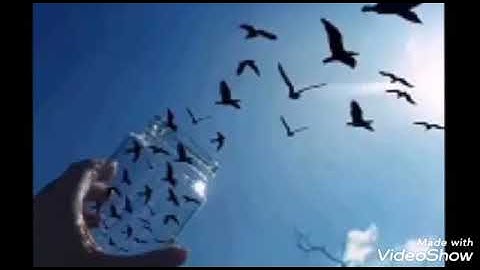 سورة الماعون- بصوت القارئ إبراهيم بن محمود جَلُّو الغِينِيِّ-الهِيرِكُوِيّIbrahim ibn Mahmoud Diallo