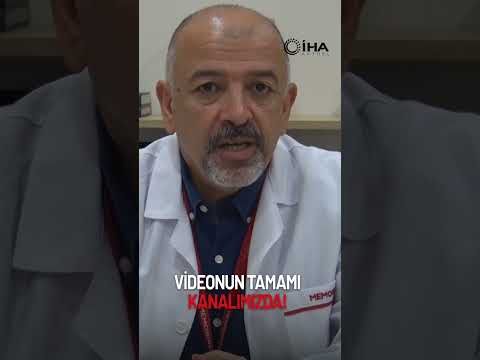 Prof. Dr. Erdal