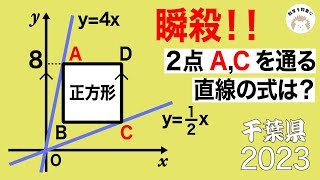 数学 駿台 入試数学攻略のポイント 数学12AB 状態は普通 値下げ不可 
