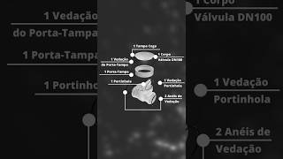 Como funciona a Válvula de Retenção de Esgoto | Durín Play