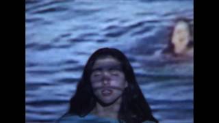 Celebrity Forth Wanderers // Nevermine Net Worth