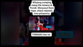 Wilujeng Carried Someone To Rome In Persib Following Thom Haye Eliano Reijned Joey Pelupessy