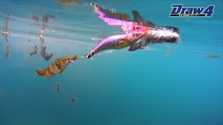 イカ、エギング WILDCHASE 2.5号イカメタル＆オモリグ特化/BONE series[特注:EGI