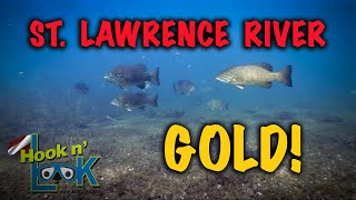 St. Lawrence River GOLD  FULL EPISODE