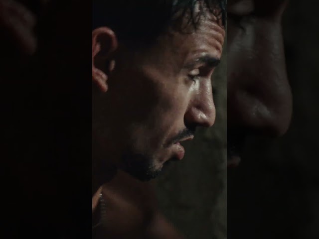 Arrêtez de dormir ! Allez écouter « MONSIEUR LOYAL » disponibles sur toutes les plateformes