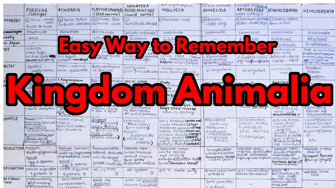 Kingdom Animalia Chart Mdcat