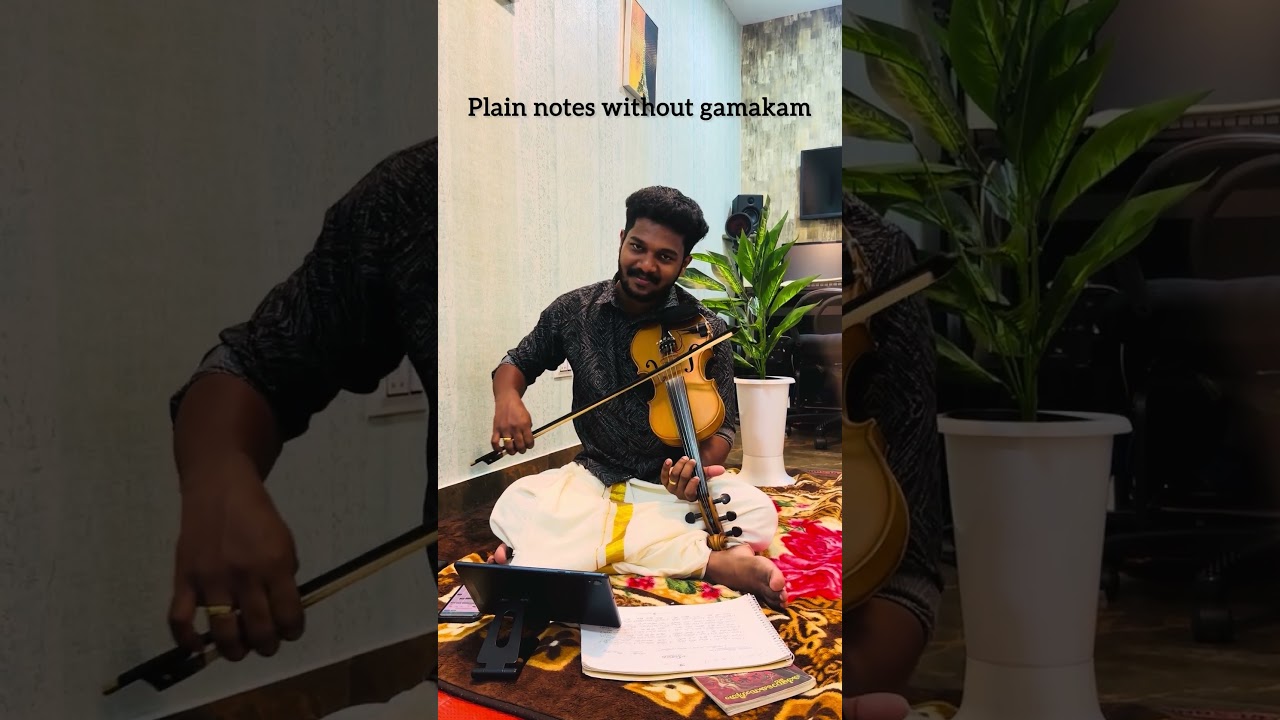 Violin Lessons for Beginners | Carnatic Violin Lessons | Indian Violin Lessons | Notes n' Beats