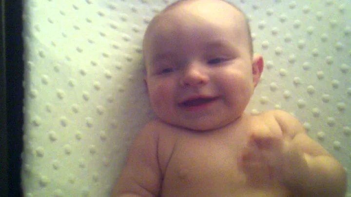 Griffon laughing!2012-07...