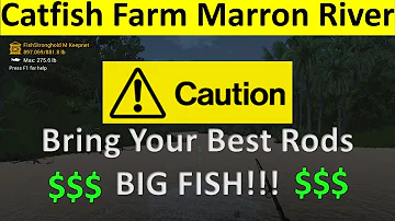 Marron River - Fishing Planet - Catfish Farm - Xp / Money Farm Marron River Bolivia, South America