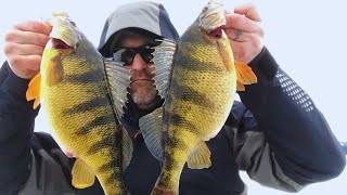 Ice Fishing Lake Cascade JUMBO Perch  Where and How to Find The GIANTS + Hisea Boot Test