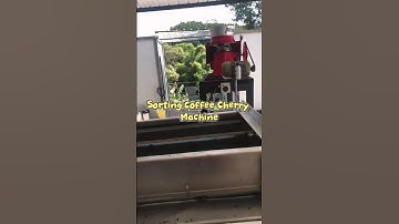 JIACUI Automatic Coffee Cherry Sorting Machine | 99.99% Precision with Toshiba Camera #shorts