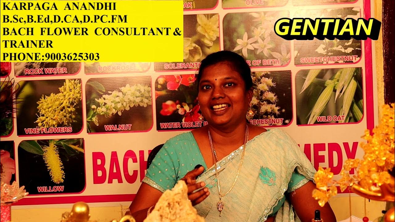 Gentian Bach Flower Remedy In Tamil karpaagaanandhi YouTube