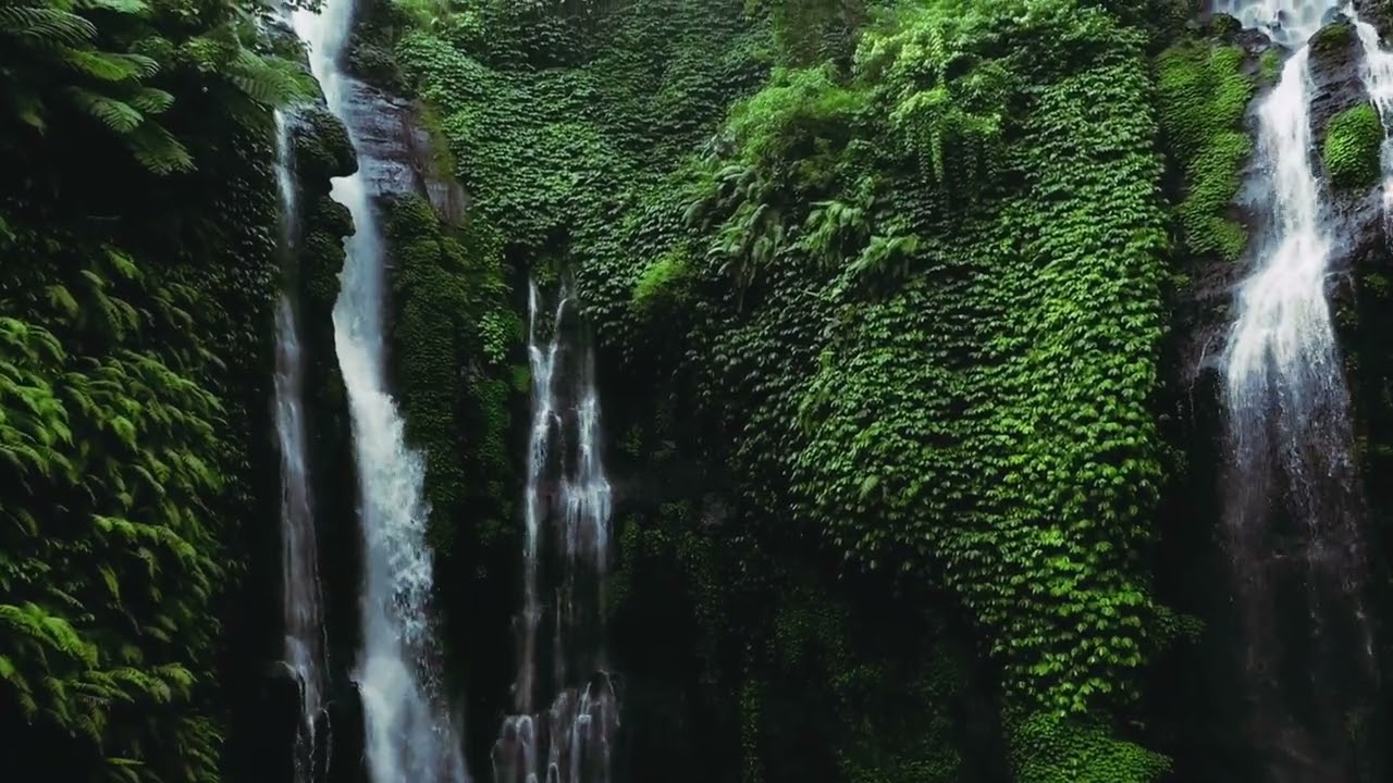 waterfall, river video🌱🌊beautiful nature 