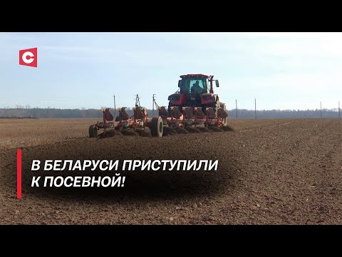 Брестские аграрии принялись за полевые работы! | Как закладывается основа для будущего урожая?