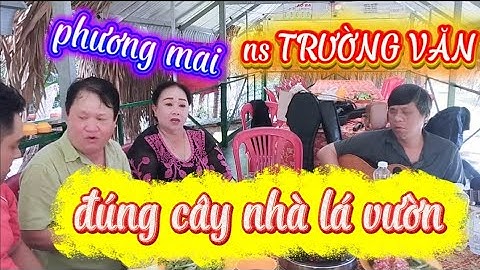 đờn ca tài tử cây nhà lá vườn quá tuyệt vời #music #bolerohay 