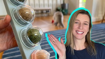 Keep Your Cats Happy with the Ultimate Catnip Treat