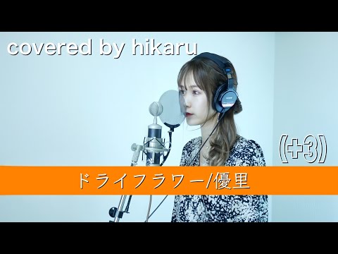 女性が歌う ドライフラワー/優里【歌詞ありfull】+3