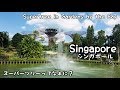 【Singapore】ガーデンズバイザベイにあるスーパーツリーにのぼってみたよ♡Supertree in Gardens by the Bay