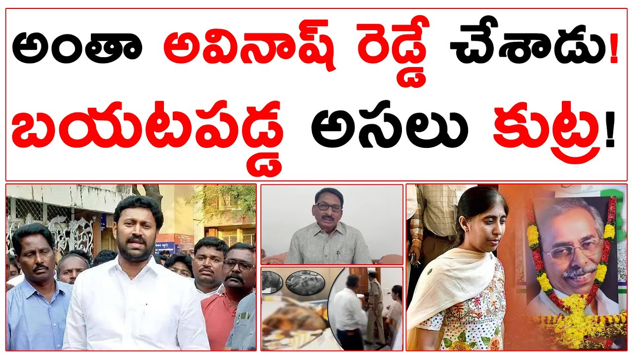అంతా అవినాష్ రెడ్డే | బయటపడ్డ అసలు కుట్ర | సుప్రీంలో కూటమి ప్రభుత్వం పిటీషన్ | YS Avinash Reddy |
