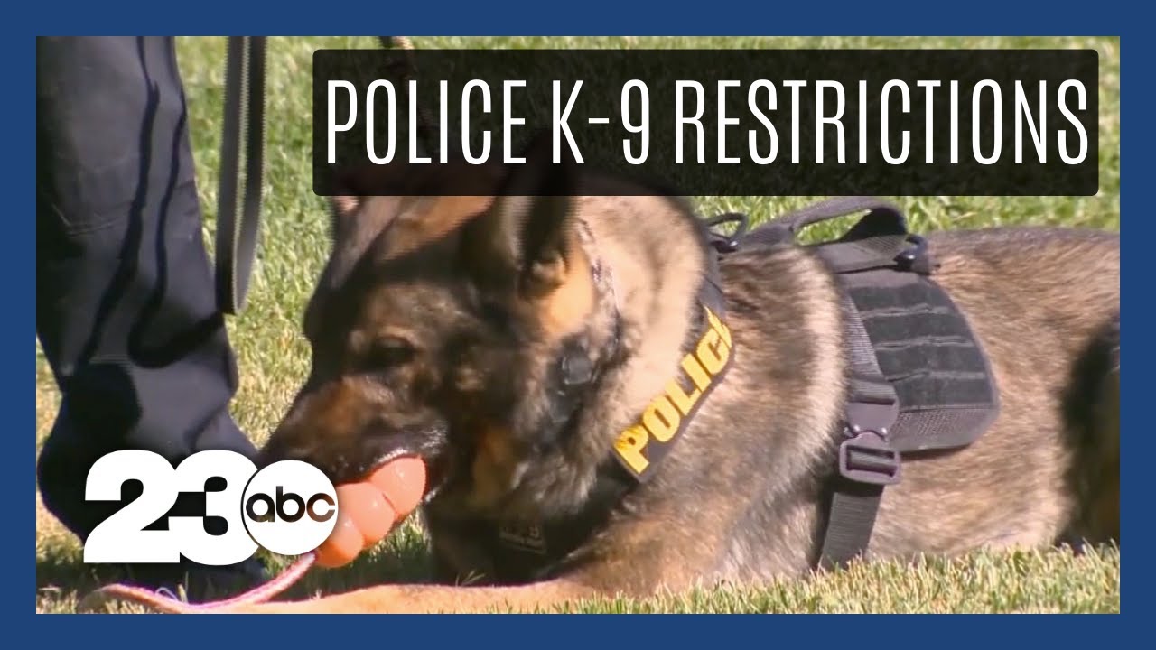 Controversy over bill to restrict police K-9 use in California - YouTube