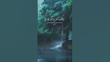 تلاوة هادئة من الشيخ عبدالرحمن مسعد سورة الأعلى