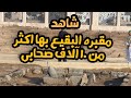 شاهد مقبره بقيع  الغرقد فى المدينه المنوره يوجد بها اكثر من ١٠ الاف من صحابه رسول الله (ص)