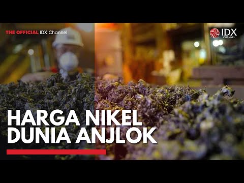 Harga Nikel Dunia Anjlok | IDX CHANNEL