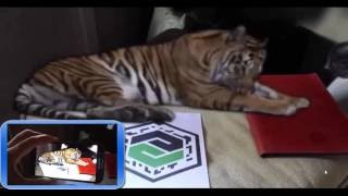 Augmented reality, Unity 3D, chroma key system for videos screenshot 4