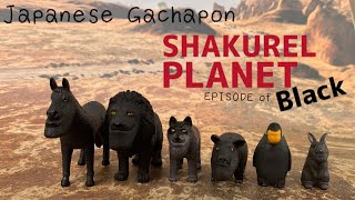 JAPAN'S GACHAPON | SHAKUREL BLACK | Shakurel planet | A turned-up chin | Funny Animal | シャクレルプラネット