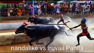 Nandalike Vs Iruvail Panilatop Race Kakepadavu Kambala 2022