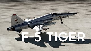 Meet The F-5 The Multi-Role Fighter Can Fulfill Any Mission
