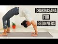 Chakrasana for Beginners l with preparatory poses l Archie's Yoga