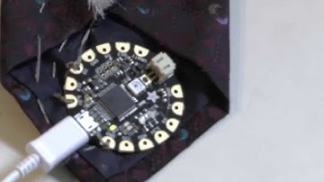 Intro to FLORA - Part 2