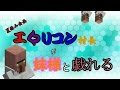 鼻デカマインクラフト番外編 エロリコン村長が妹様と戯れる ゆっくり実況 〈フタリアソビ〉