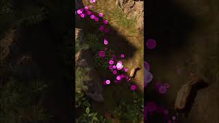 Mysterious Forest Orbs  Animal Explorer's Glowing Quest!