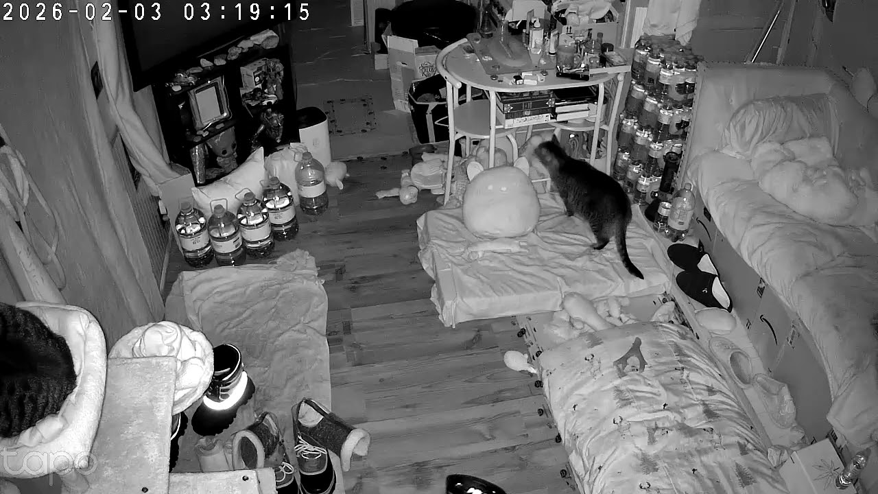 Things that go bump in the night part 2 