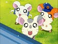 Hamtaro Episode 284 English Sub Happy Dream, Ham-Ham Train! ハム太郎 日本語 第 284 話 英語字幕 ハッピードリーム、ハムハムトレイン!
