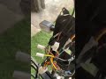 Electric bike electrical system!
