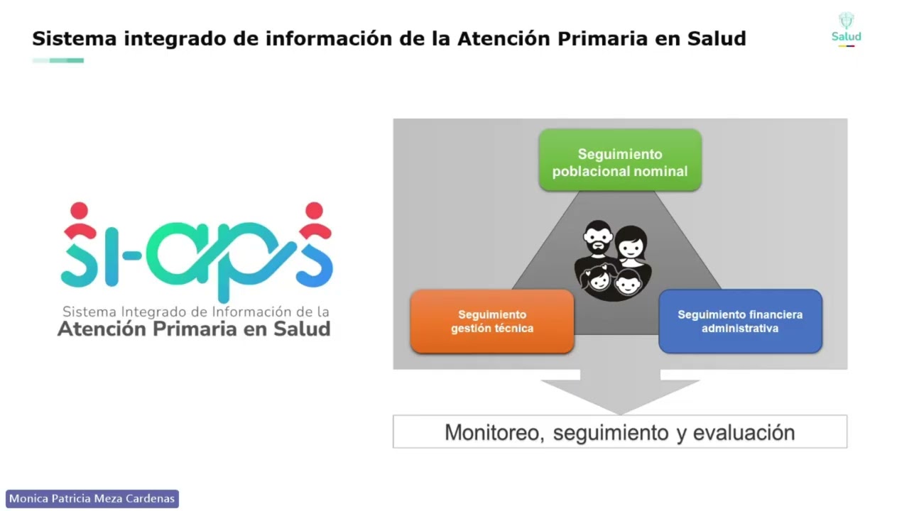 Entrega de avance SI APS Gestión Técnica