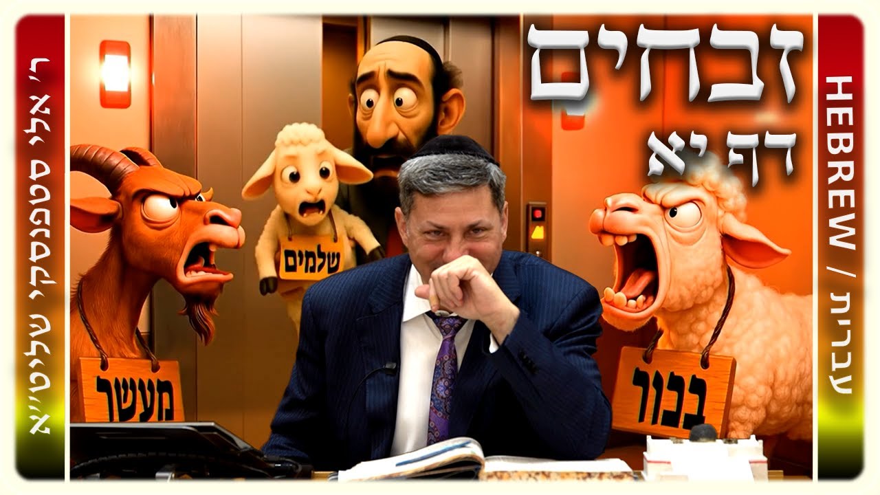Uploads from Mercaz Daf Yomi by R' Eli Stefansky